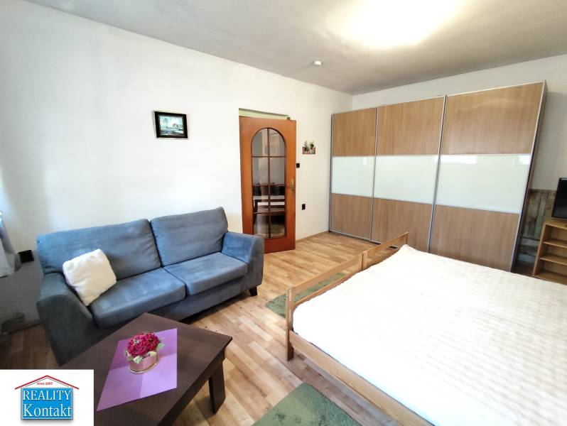 1-bedroom apartment with wood-patterned flooring, a pull-out sofa, and a built-in wardrobe.
