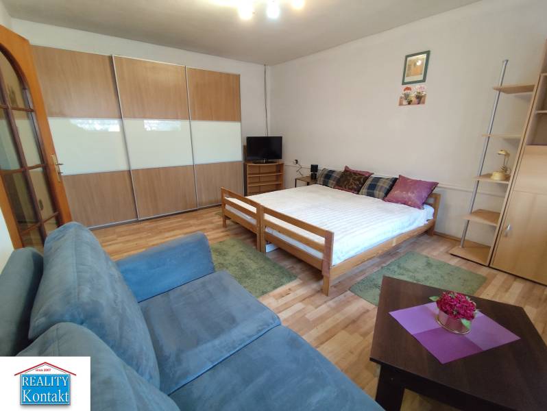 Interior of a 1-room apartment with a sofa, bed, wardrobe, and floor with wooden decor.