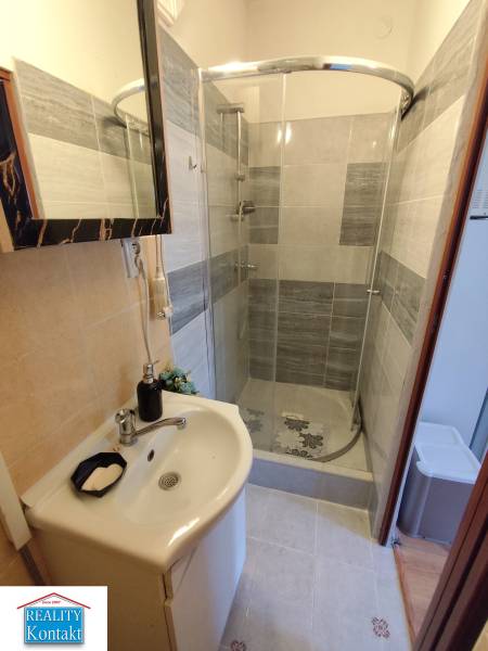 Bathroom with a sink and a shower enclosure with a glass screen, studio apartment.