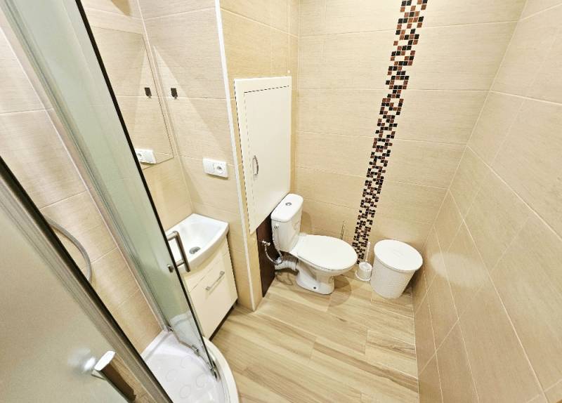 Compact bathroom in a studio apartment with a toilet, shower, and floor with wood decor.
