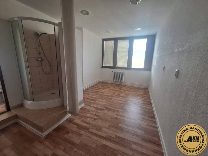 Commercial premises with wood-patterned flooring and a shower corner.