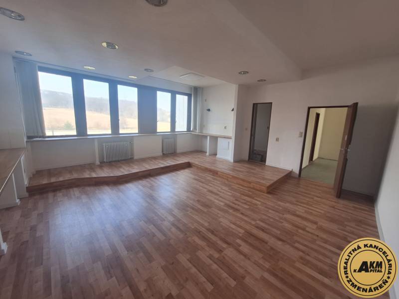 Interior of commercial space with large windows, wooden decor flooring, empty room.