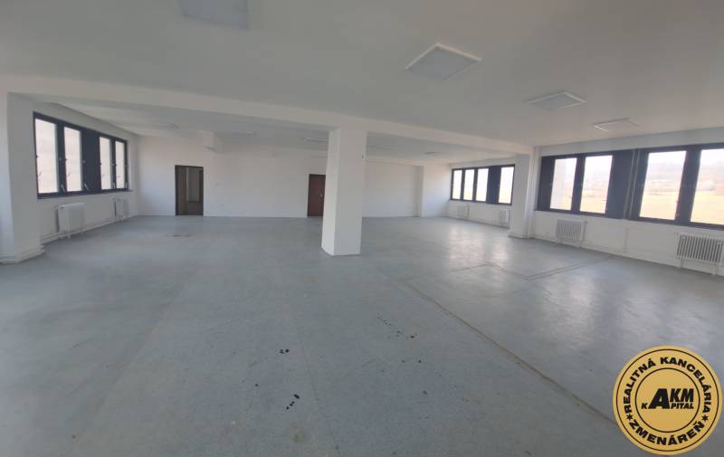 Spacious commercial spaces with large windows and simple flooring.