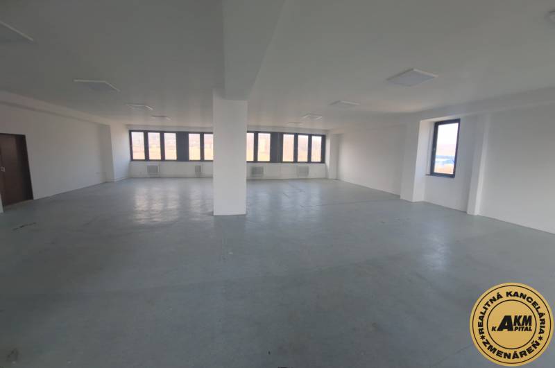 Spacious commercial spaces with large windows and light flooring.