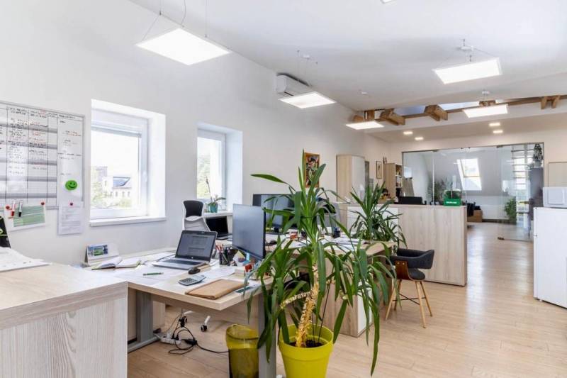 Bright offices with computers, plants, and wood-patterned flooring.