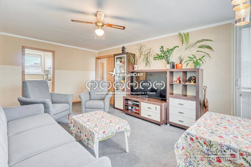 Living room in a 4-room apartment with comfortable seating, houseplants, and a carpet.