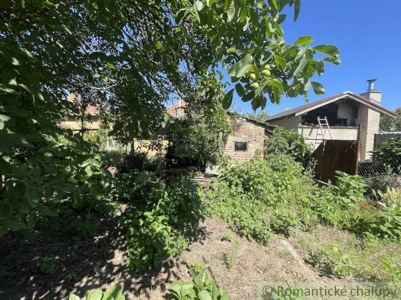 The garden at the family house in Tvrdošovce, surrounded by lush greenery and trees.
