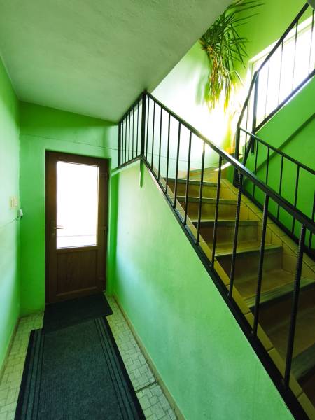 Interior of a family house with wooden stairs, green walls, and a plant.