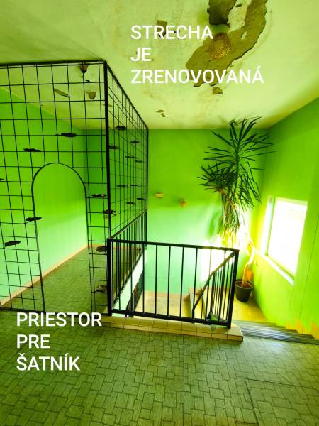 Interior of a family house with lattice railing, green walls, and a flower by the stairs.