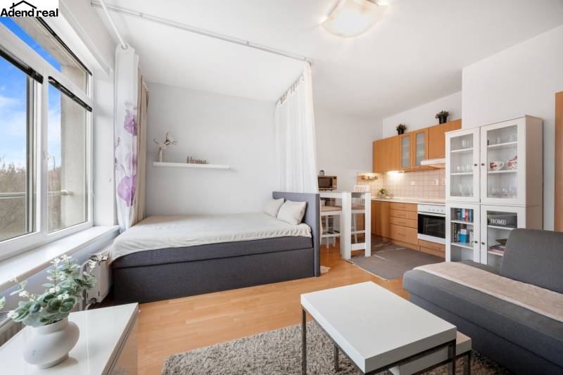 Bright 1-room apartment with a kitchenette, bed, and sofa, floor with wood decor.