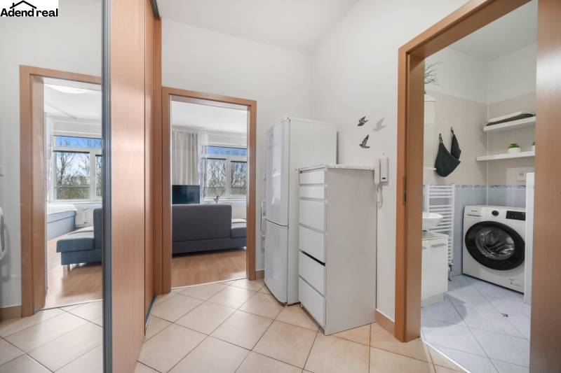 In the interior of a 1-room apartment, a hallway, a bathroom, and a living space are visible.