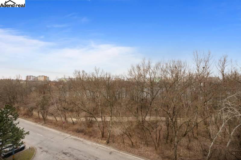 View from Antolská Street in Bratislava, Petržalka towards the forest and apartment blocks, 1-room apartment.