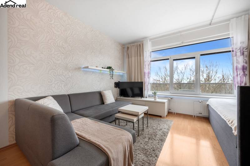 Living area of a studio apartment with a sofa, TV, light-colored walls, and a floor with a wood decor.