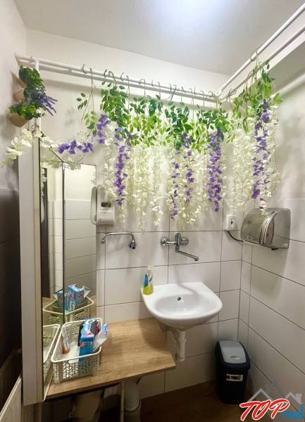 A bathroom in gastro premises with a sink, mirror, and decorative hanging plants.