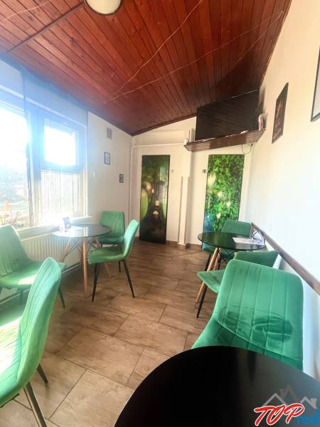 Gastro premises with wooden ceiling and floor, green chairs, window.