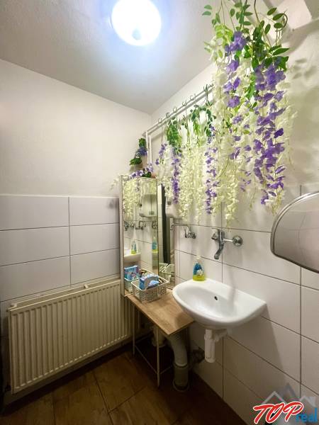 A bathroom with white tiles, a sink, and decoration in a gastro space.