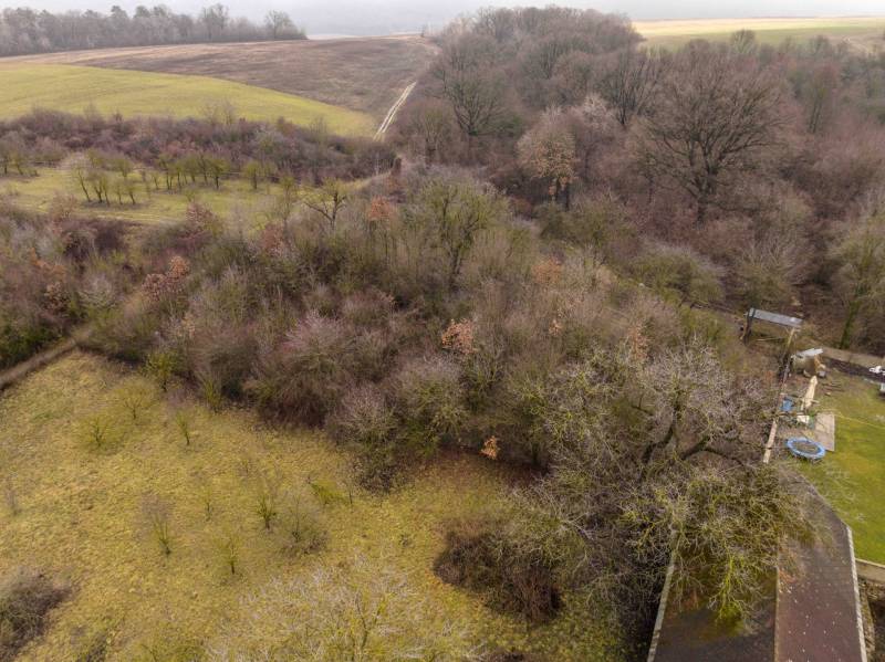 Meadows and forest lands in Gemerské Teplice ideal for recreational activities.