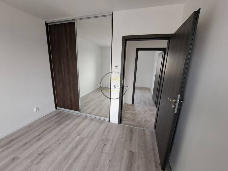 Interior of a family house with a wooden decor floor, built-in wardrobe, and dark doors.