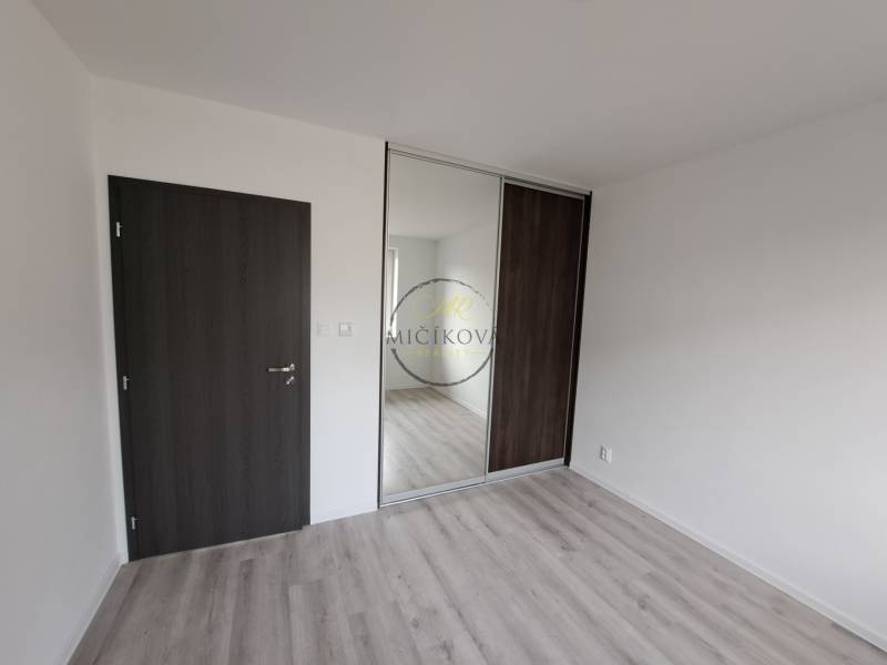 White room with dark doors, built-in wardrobe, and wood-decor flooring in a family house.