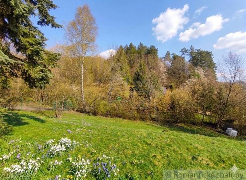 Spring landscape in the gardens in Ľubietová with blooming flowers and trees.