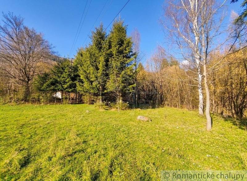 Sunny Gardens in Ľubietová with coniferous trees and green grass.