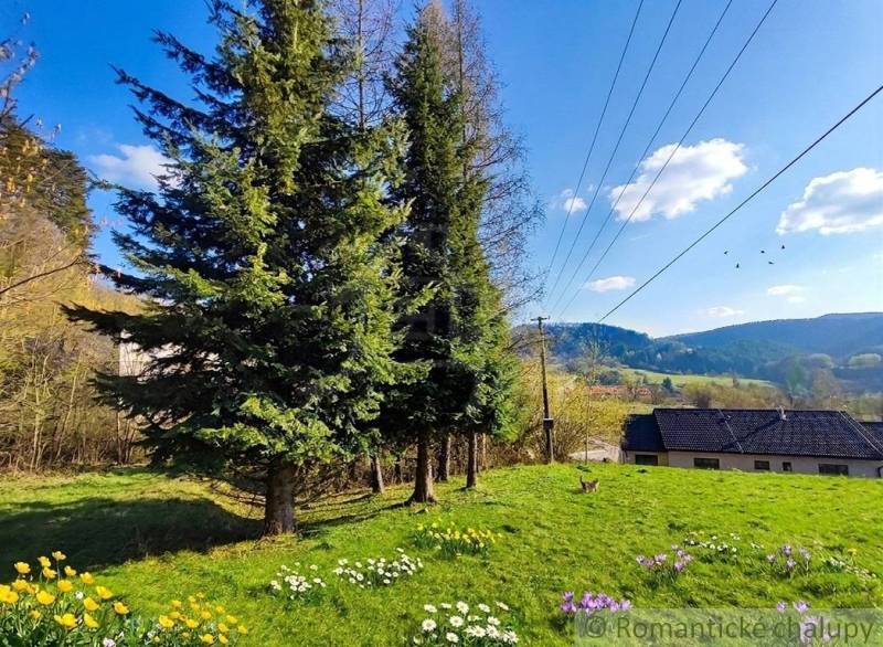 Gardens in Ľubietová with coniferous trees, a babbling brook, and spring flowers.