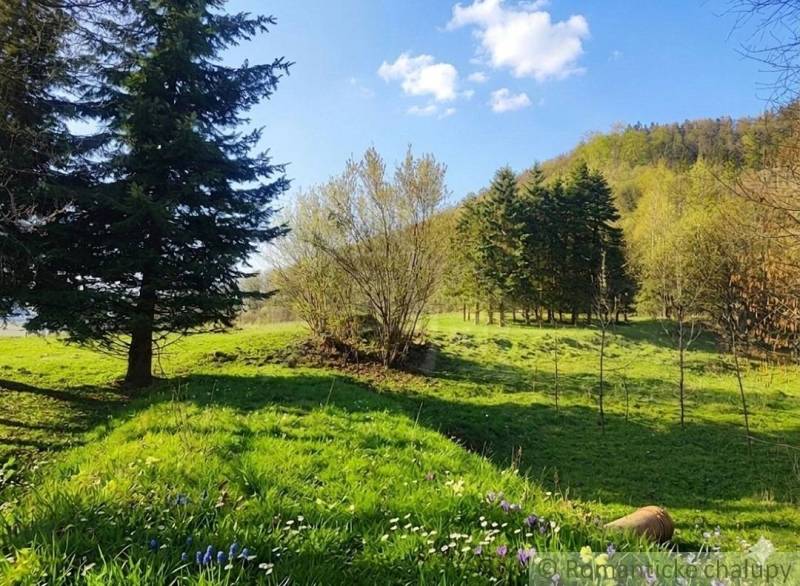 A landscape in the Gardens in Ľubietová with meadow greenery and pine trees under a blue sky.