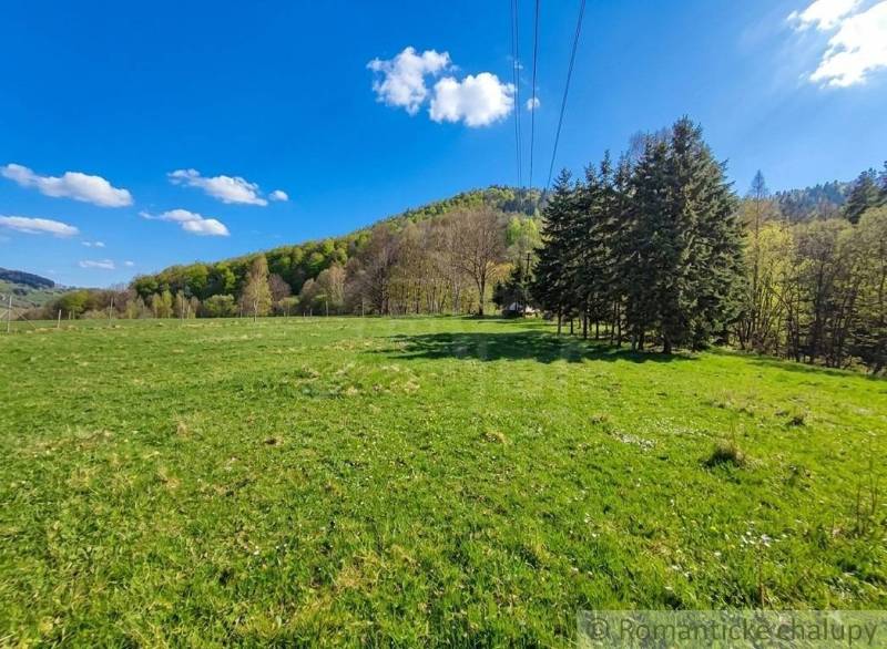 Beautiful green meadow with trees and the blue sky of the countryside in Ľubietová in Záhrady.