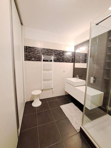 A bathroom in a two-room apartment with dark tiles and a shower corner.