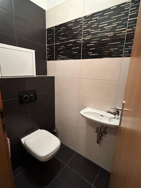 Bathroom in a 2-room apartment with black and white tiles and a wall-mounted toilet.