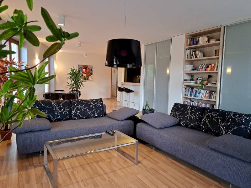 Living room in a two-room apartment with a sofa, books, and a wooden decor floor.