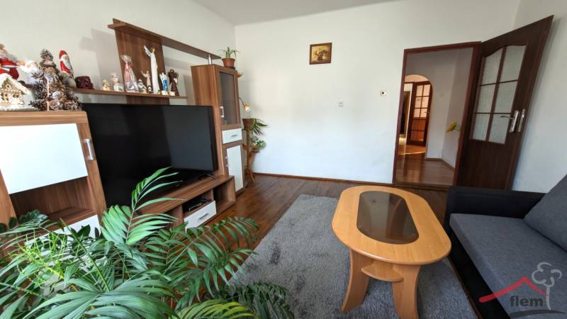 Living room in a family house with decorations, television, and wooden decor flooring.