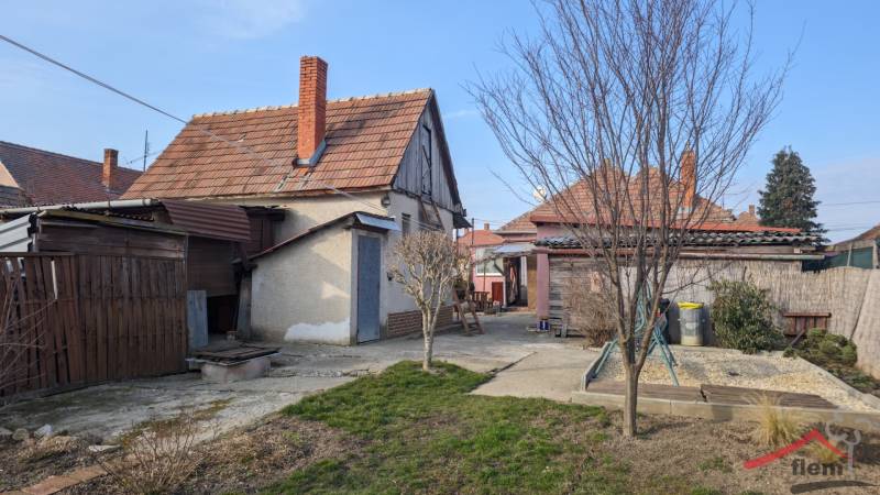 The backyard of a family house on Martinová Street in Lúčnica nad Žitavou with a lawn and trees.