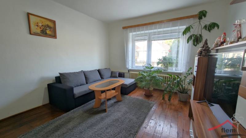 Living room in a family house with a corner sofa, carpet, and wooden decor flooring.