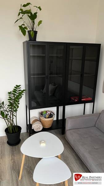 Living room in a 2-room apartment with a sofa, black display cabinet, and plants.