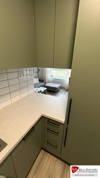 A kitchen unit with green cabinets, opening view to the living room in a two-room apartment.