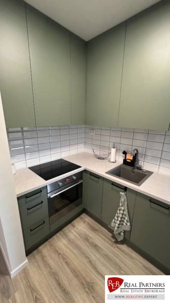 A kitchen in a 2-room apartment with a wood-patterned floor and green cabinets.