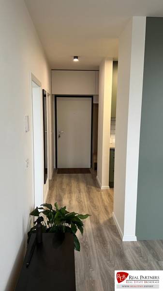 A hallway in a 2-room apartment with a wooden decor floor and a plant.