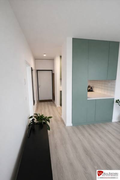 A hallway in a 2-room apartment with a wooden-patterned floor and a green wardrobe.