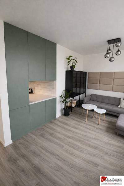 Living room in a two-room apartment with a sofa, wardrobe, and wooden decor flooring.