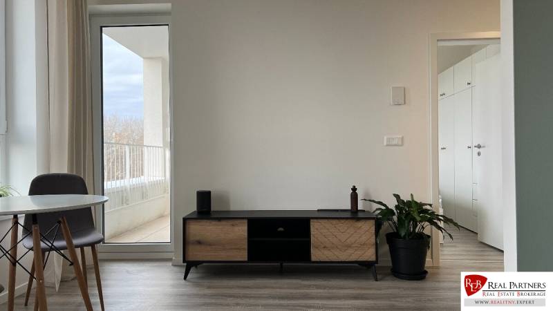 A living room with wood-patterned flooring, a TV stand, and a houseplant in a two-room apartment.