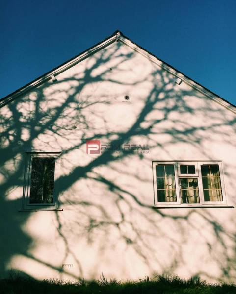 The facade of a family house in Piešťany with a tree shadow on the wall.
