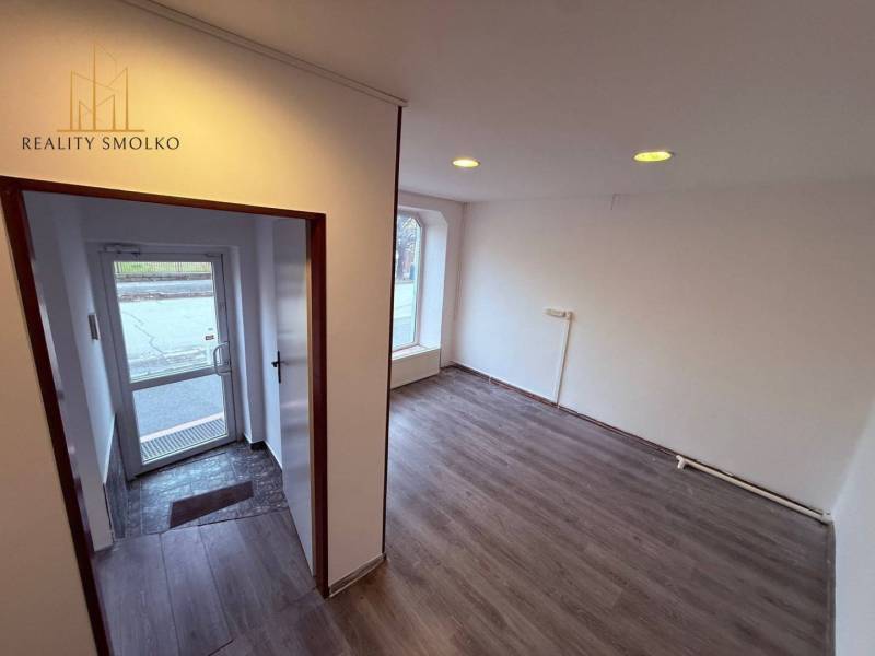 Commercial spaces with wood-patterned flooring, entrance doors, and white walls.