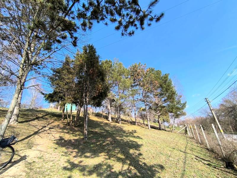 A holy peace in nature. A cottage in Partizánske surrounded by trees and a blue sky.