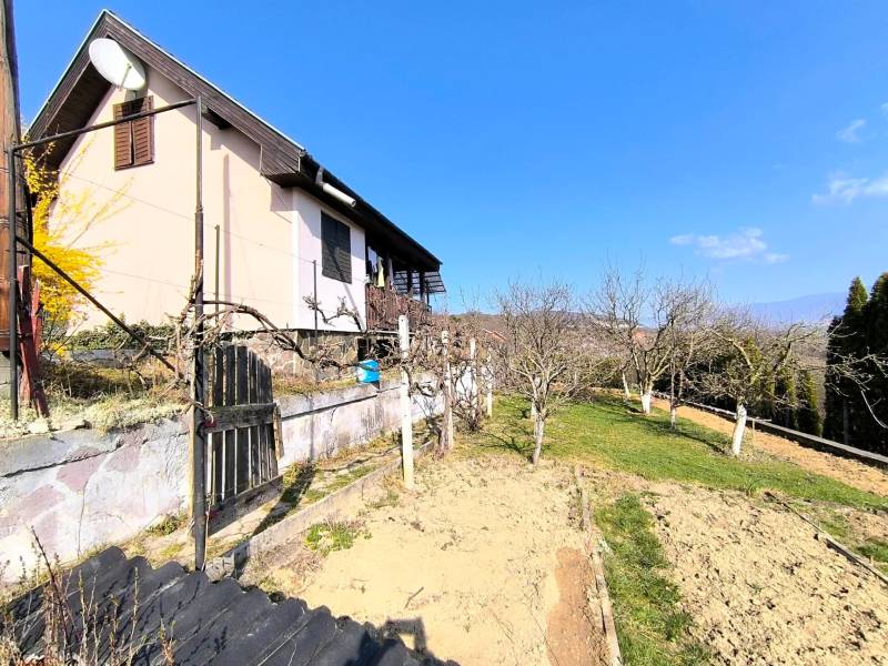 A cottage in Malé Kršteňany with a well-maintained garden and fruit trees.