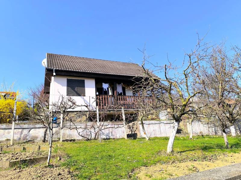 A cottage in Partizánske with fruit trees and a terrace under the blue sky.