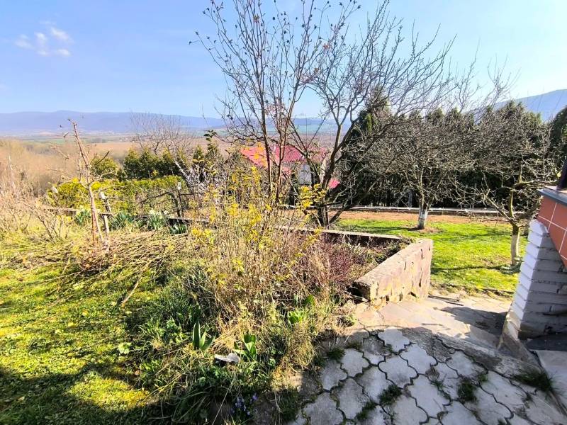 Garden view with fruit trees and mountains in the background in Partizánske near the cottage.