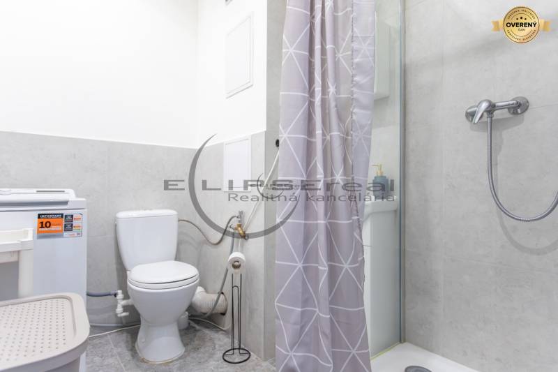 Bathroom in a studio apartment with a shower, sink, and washing machine.