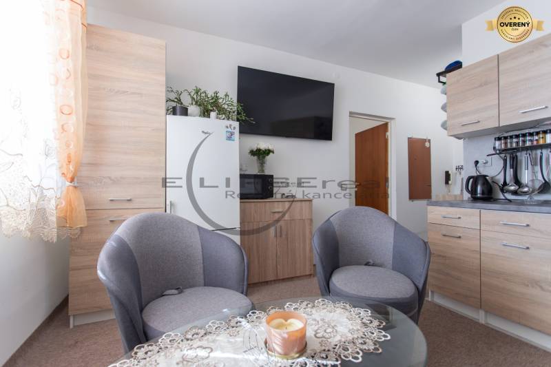 Interior of a 1-room apartment with seating, a kitchenette, and a TV on the wall.