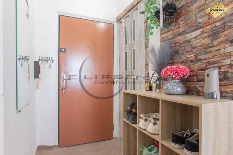 Entrance hallway with a shoe cabinet, decorative flower vase, and wallpaper in a studio apartment.